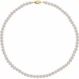 14K Yellow Panache® Cultured White Freshwater Pearl 18  Necklace Supply