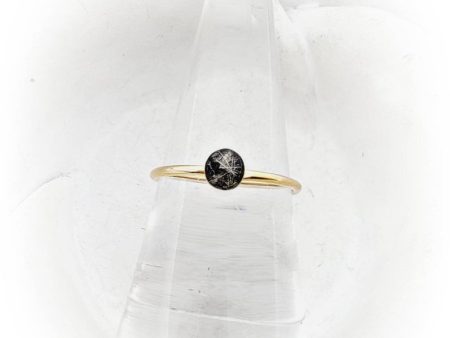 14k Gold Filled 4mm Cremation Ring Online