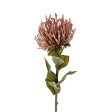 Pin Cushion Floral Stem For Cheap