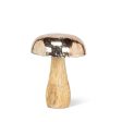 Silver Cap Mushroom For Sale