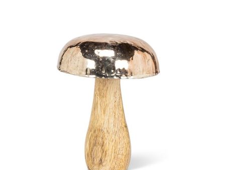 Silver Cap Mushroom For Sale