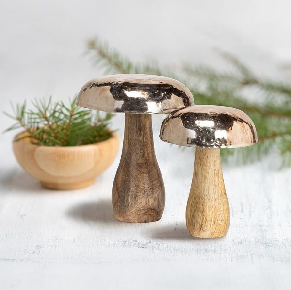 Silver Cap Mushroom For Sale