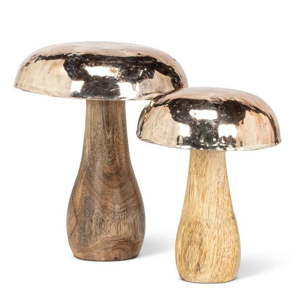 Silver Cap Mushroom For Sale